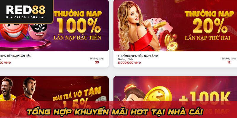 Tổng hợp khuyến mãi hot tại nhà cái
